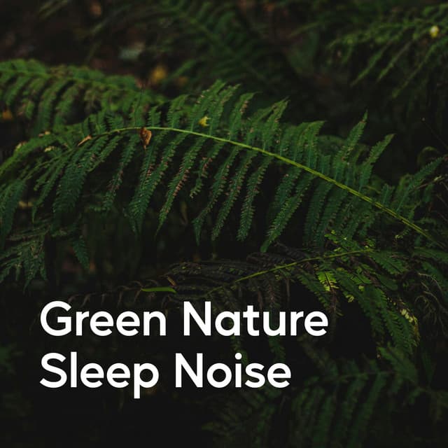 Green Nature Sleep Noise - Sounds of Nature White Noise for Baby Sleep