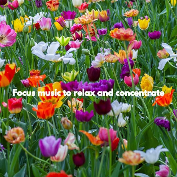 Focus music to relax and concentrate - Speakeasy Jazz Playlist