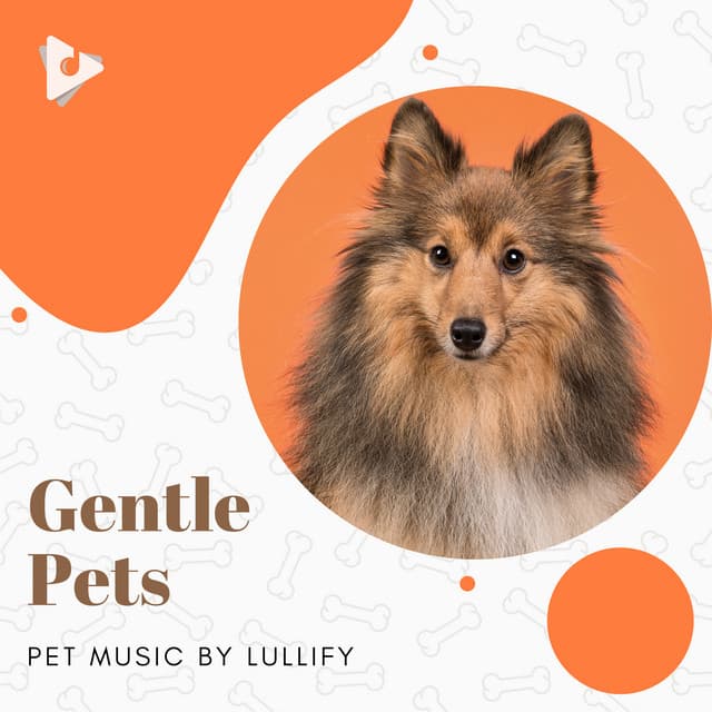 Gentle Pets - Pet Music by Lullify