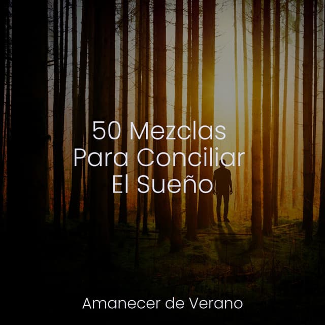 50 Mezclas Para Conciliar El Sueño - Canción de Cuna