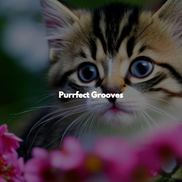 Purrfect Grooves - Jazz Piano Instrumentals