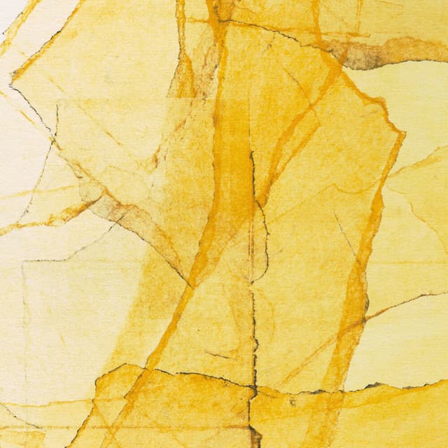 Central Park‘s Mosaics of Reservoir, Lake, Paths and Gardens - Wadada Leo Smith