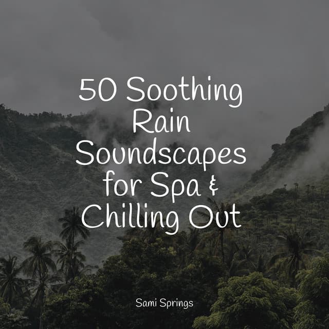 50 Soothing Rain Soundscapes for Spa & Chilling Out - Binaural Creations
