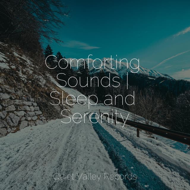 Comforting Sounds | Sleep and Serenity - Kings of Nature