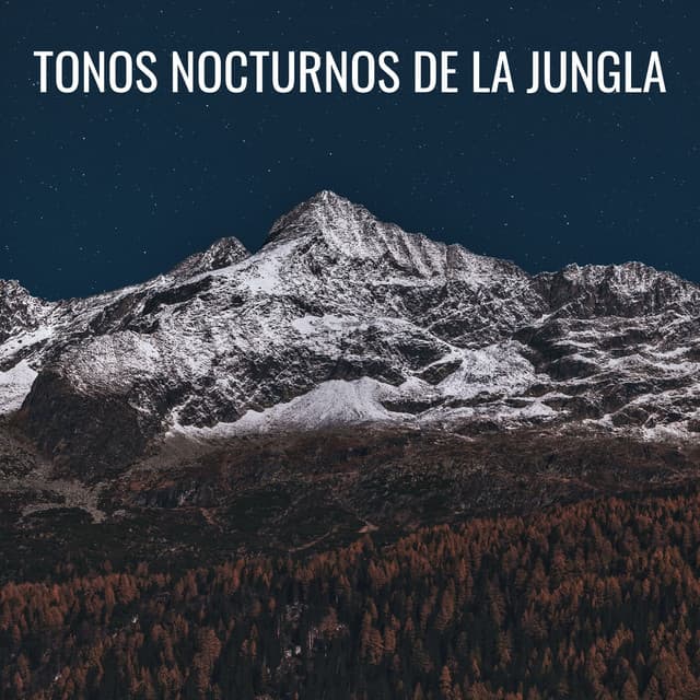 Tonos Nocturnos De La Jungla - Asociación de sonidos nocturnos