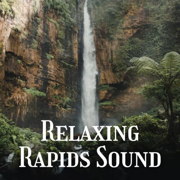 Relaxing Rapids Sound - Relaxing Meditation Songs Divine