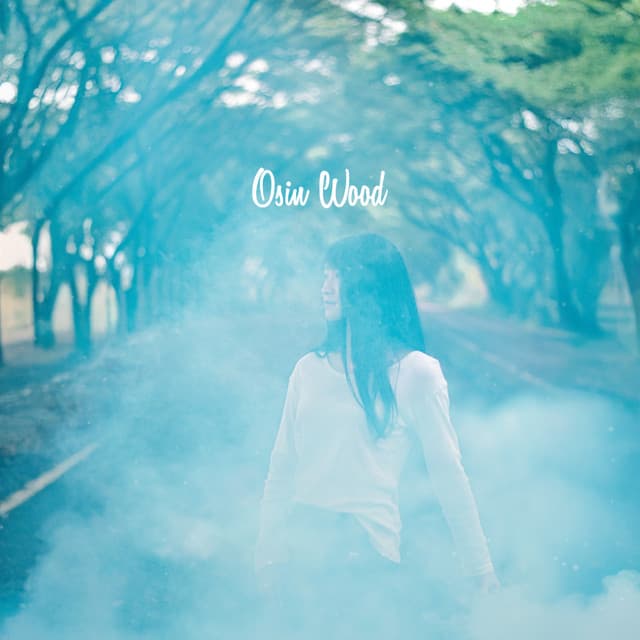 Weightless Aurora - Osin Wood