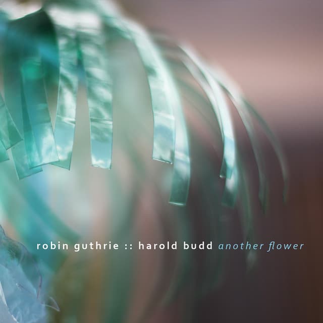 Another Flower - Robin Guthrie