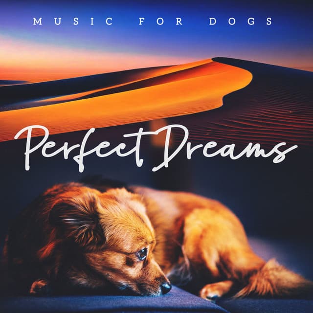 Perfect Dreams - Music For Dogs