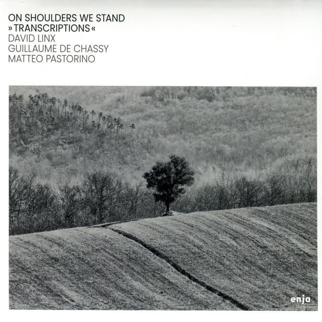 On Shoulders We Stand - David Linx