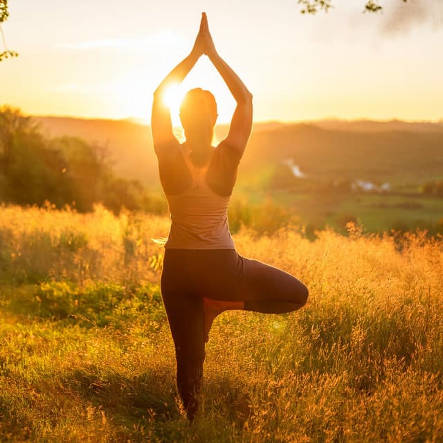 Vibras De Yoga Lofi: Sonidos Suaves Para El Equilibrio - Universo