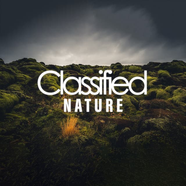 Classified Nature - Rain Sounds Sleep