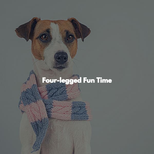 Four-legged Fun Time - Trabajar desde Casa