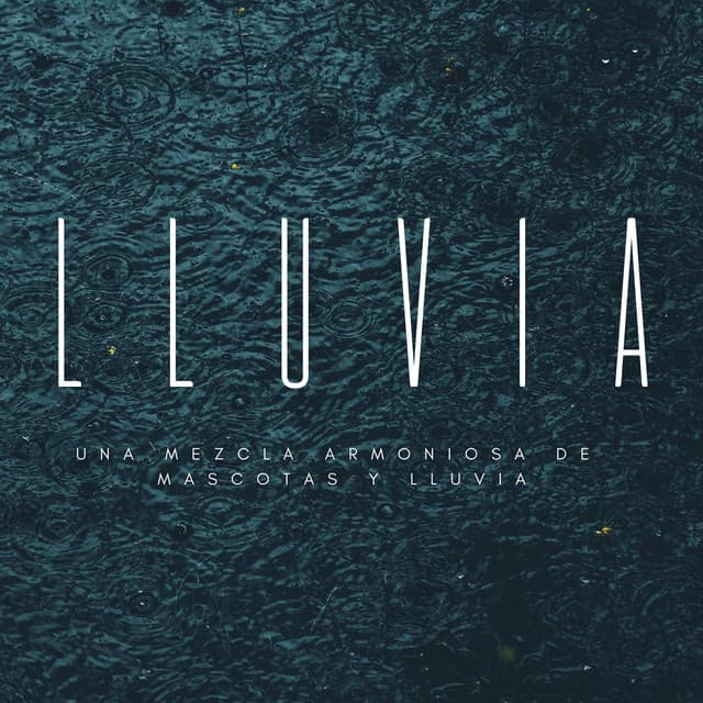 Registradores de lluvia