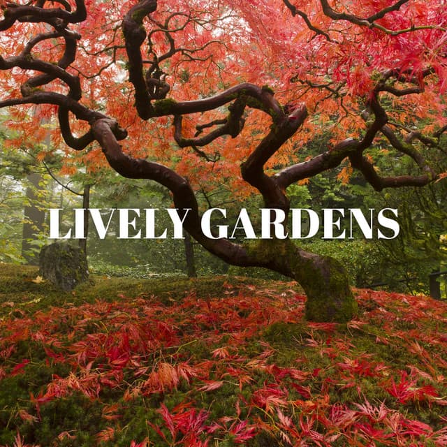 Lively Gardens: Sounds of Nature, Calming River, Soothing Birdsong, Gentle Rain, Zen Relaxation - Calm Nature Oasis