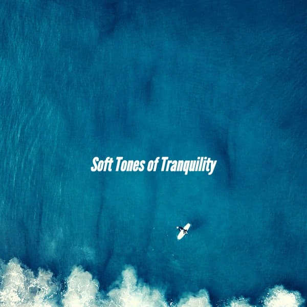 Soft Tones of Tranquility - Classy Cafe Jazz Music