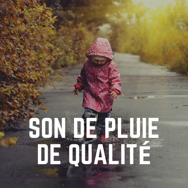Son de Pluie de Qualité - Pluie et tonnerre