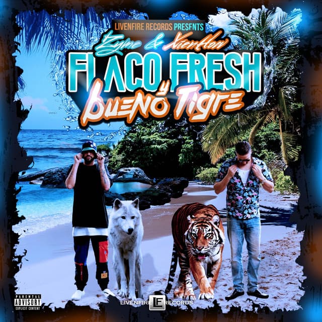 Flaco Fresh y Bueno Tigre - XienHow