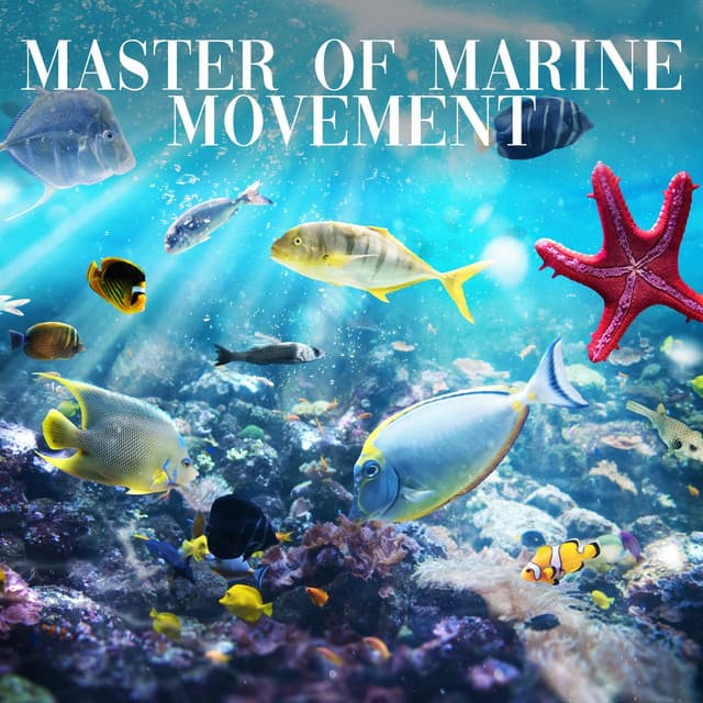 Master of Marine Movement - Relaxing Sea Sounds