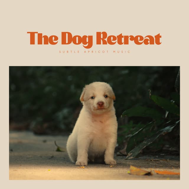 The Dog Retreat - Music For Dogs