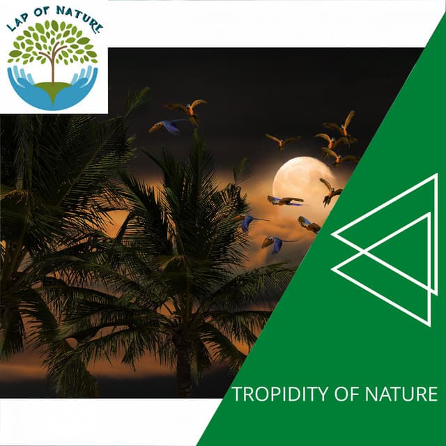 Tropidity of Nature - Calm Music