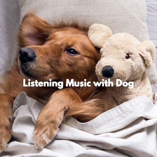 Listening Music with Dog - Musique du Matin
