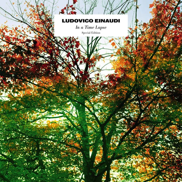 In A Time Lapse - Ludovico Einaudi