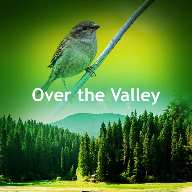 Over the Valley - Forest Sounds FX