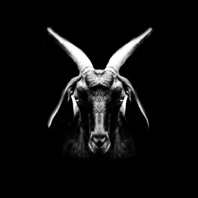 Goat - Tree