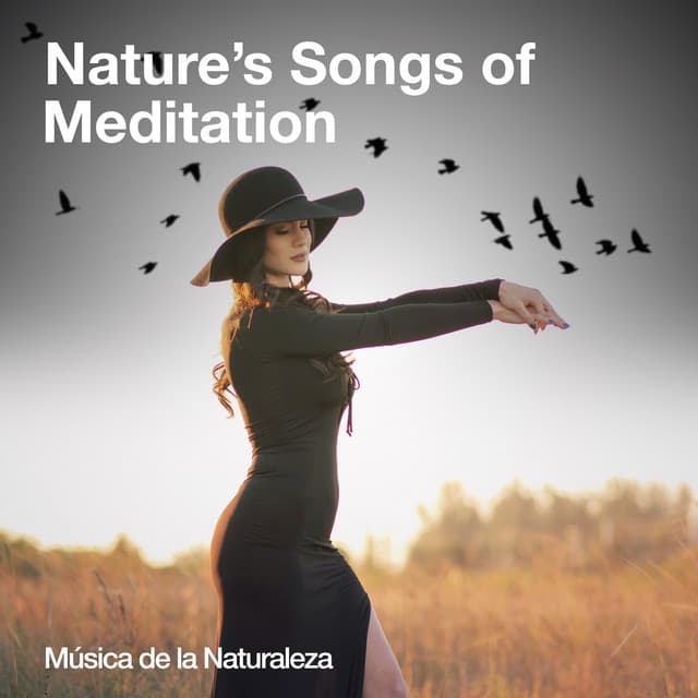 Nature's Songs of Meditation - Música de la Naturaleza