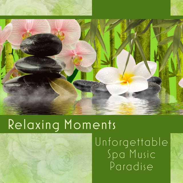 Relaxing Moments – Unforgettable Spa Music Paradise, Tranquility Zone, Divine Songs for Meditation & Relaxation - Relax Time Universe