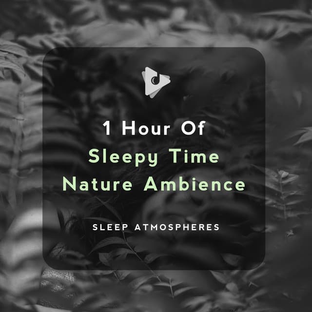 1 Hour of Sleepy Time Nature Ambience - Sleep Atmospheres
