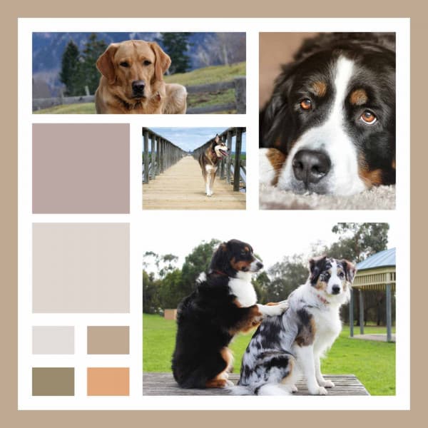 Echoes of Meditations for Puppy - Relaxing Dogs