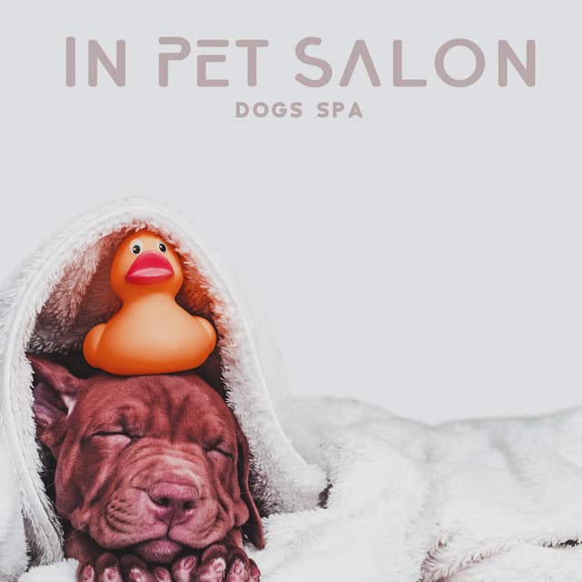 In Pet Salon: Dogs Spa, My Dog's Music - Pet Music Doctor