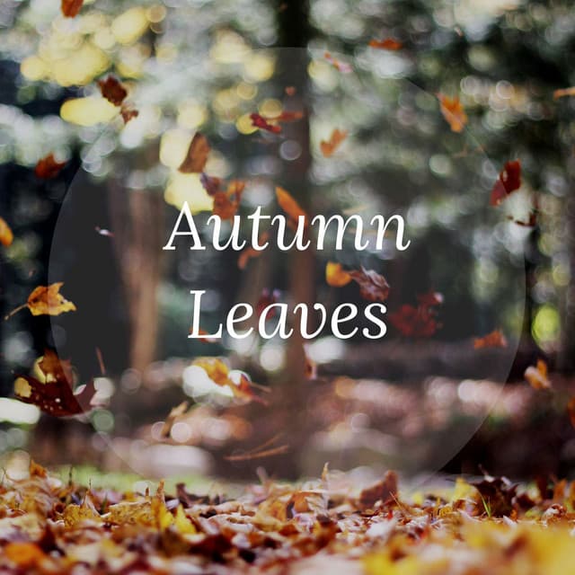 Autumn Leaves - Yoga Tribe