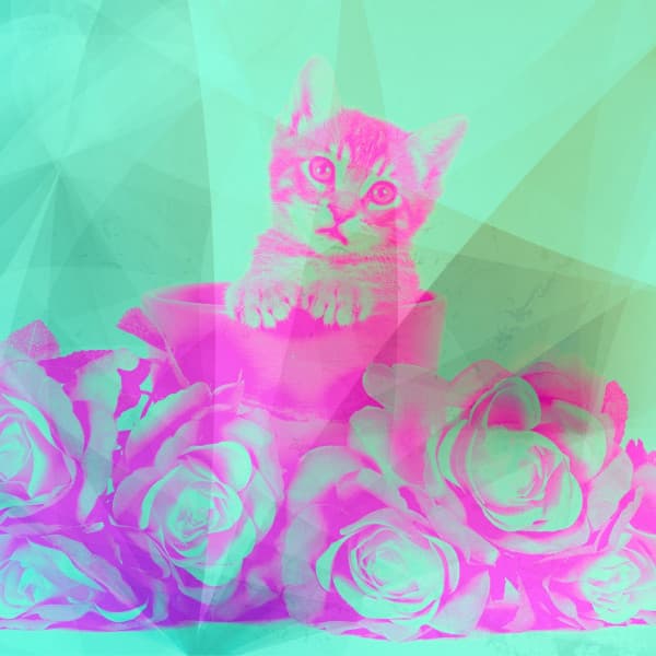 Music for Unwinding Cats - Soprano Sax Solo - Cat Music Therapy