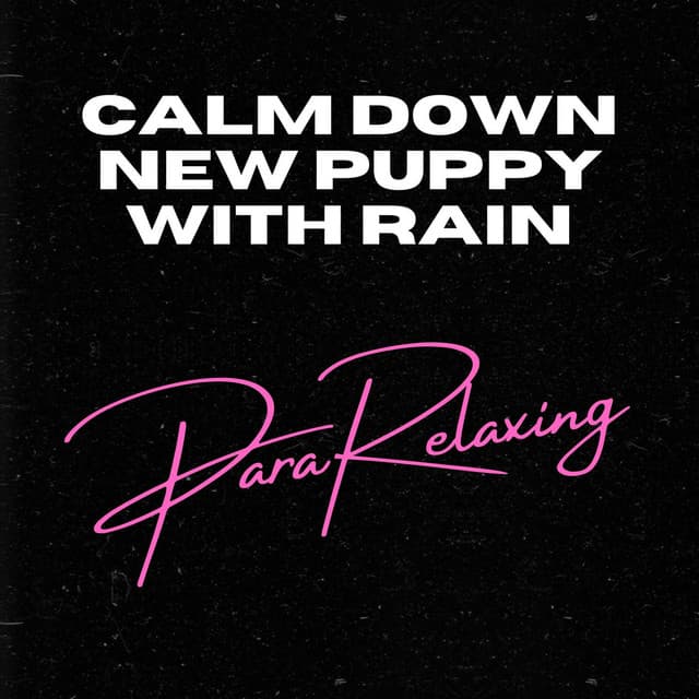 Calm Down New Puppy with Rain - Rain Sounds Sleep
