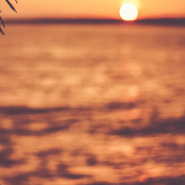 10 Hours White Noise: Restful Murmurs - Focus Noise