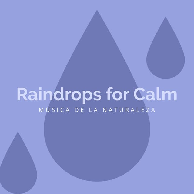Raindrops for Calm - Música de la Naturaleza