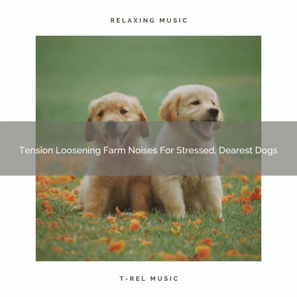 Tension Loosening Farm Noises For Stressed, Dearest Dogs - Dog Total Relax