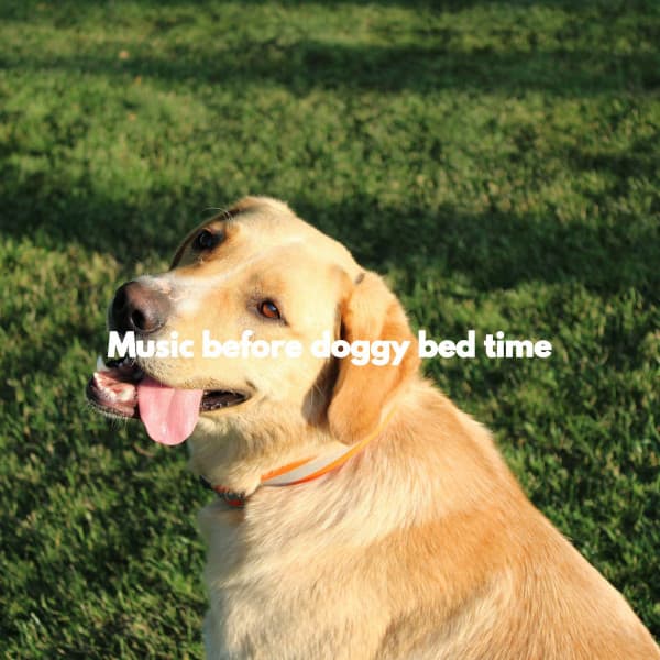 Music before doggy bed time - Calming Dog Jazz Classics