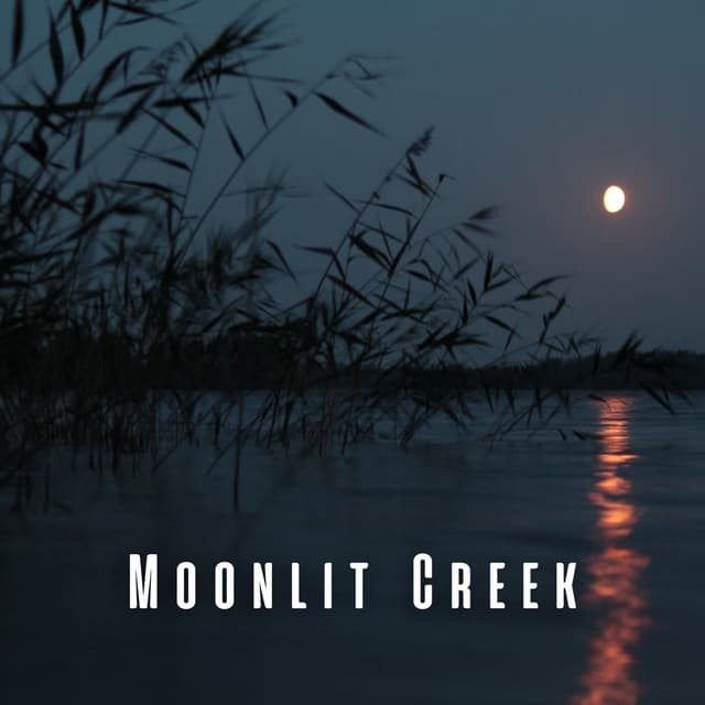 Moonlit Creek: Sleep Serenades by the Waterside - The Water Sleepers