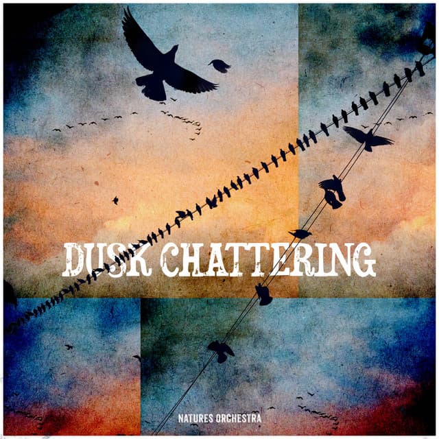 Dusk Chattering - Natures Orchestra
