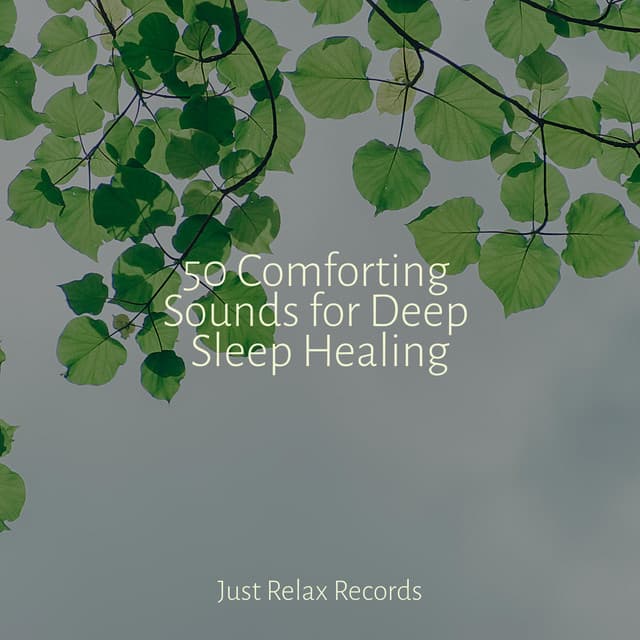 50 Comforting Sounds for Deep Sleep Healing - Japanese Relaxation and Meditation