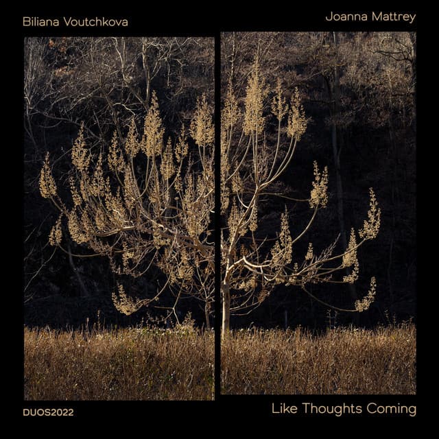 Like Thoughts Coming - Biliana Voutchkova