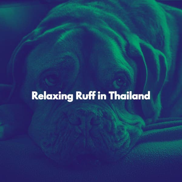 Relaxing Ruff in Thailand - Coffee + Chill