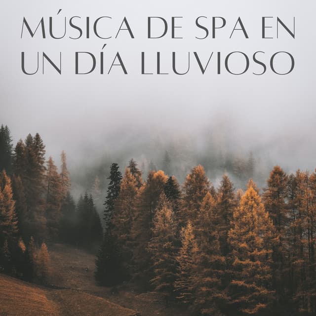Música De Spa En Un Día Lluvioso - Experiencia de sonido de lluvia