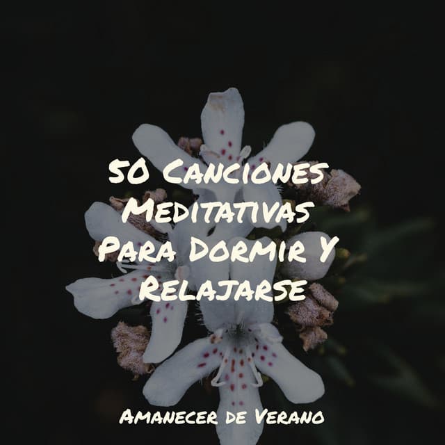 50 Canciones Meditativas Para Dormir Y Relajarse - Smart Baby Lullaby