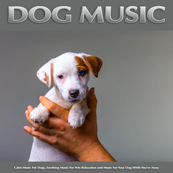 Dog Music: Calm Music For Dogs, Soothing Music For Pets Relaxation and Music For Your Dog While You're Away - Dog Music