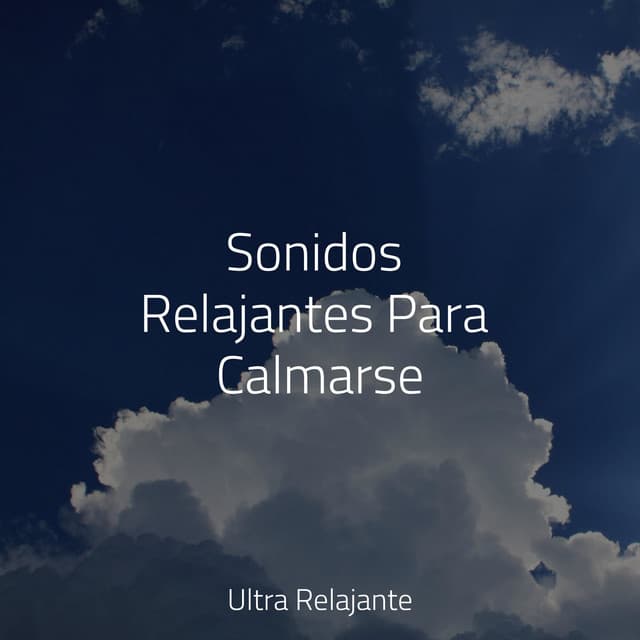 Sonidos Relajantes Para Calmarse - Meditação Yoga
